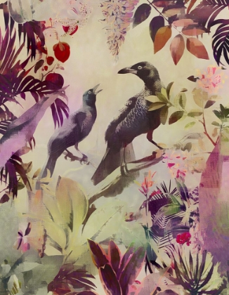 Picture of THE BIRDS HIDDEN PARADISE II