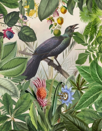 Picture of THE BIRDS GREEN GARDEN III