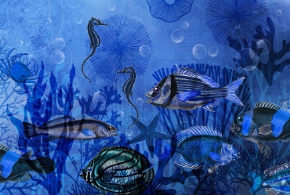 Picture of MAGIC UNDERWATER WORLD