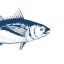 Picture of THE BLUE II