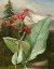 Picture of WILD SHOOT II