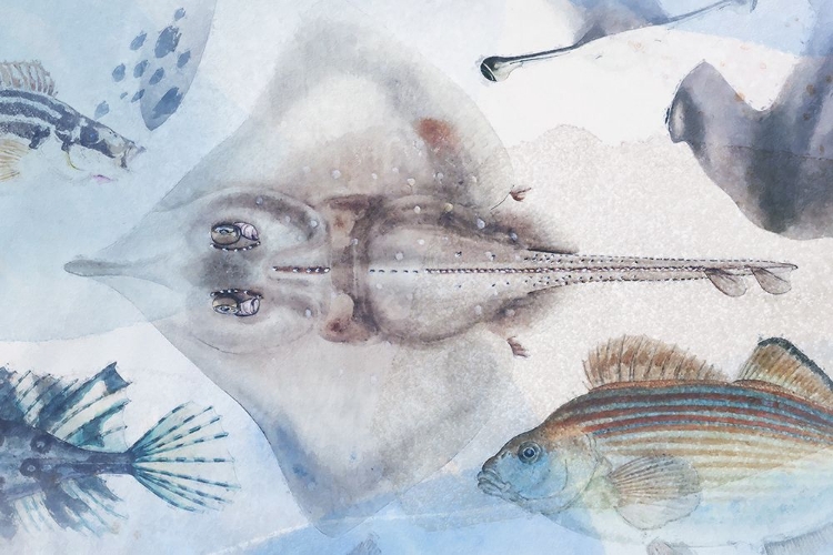 Picture of DEEP SEA IV