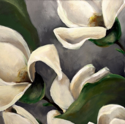 Picture of MAGNOLIA I