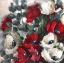 Picture of WHITE AND RED I