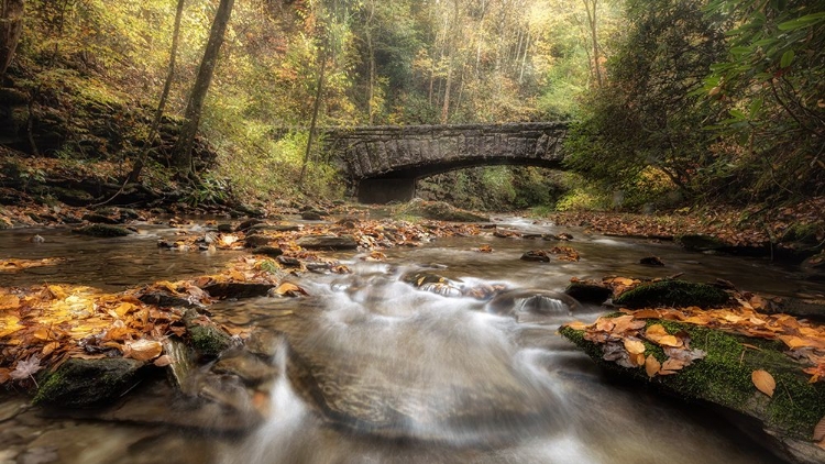 Picture of THE ARCH IN AUTUMN