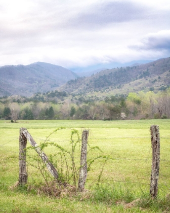 Picture of COVE FENCE