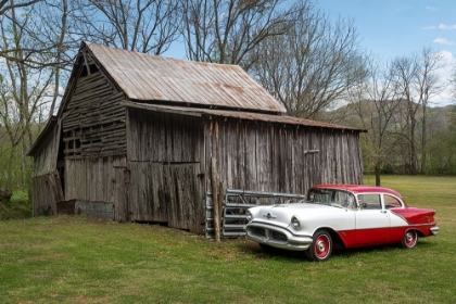 Picture of RED AND WHITE