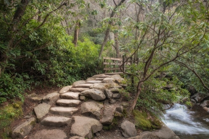 Picture of STONE STEPS