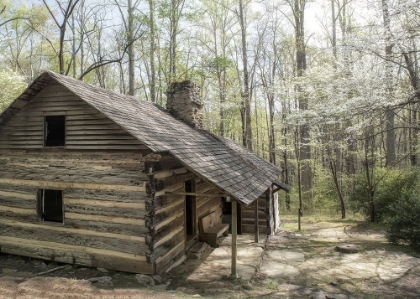 Picture of HIKERS CABIN