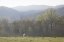 Picture of STANDING ALONE