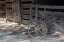Picture of ANTIQUES I