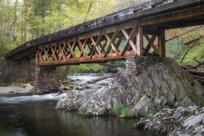 Picture of RUSTY BRIDGE