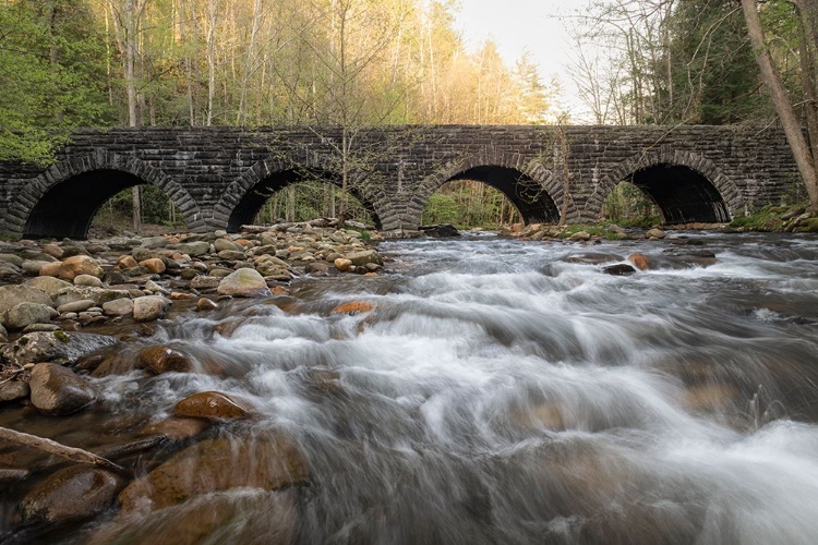 Picture of FOUR ARCHES