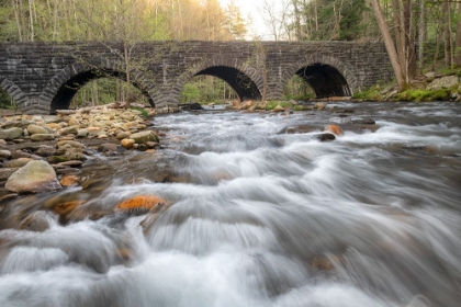 Picture of STONE BRIDGE