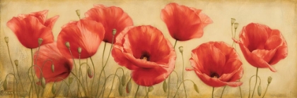 Picture of POPPIES GRACE I