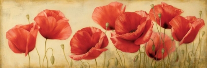 Picture of POPPIES GRACE II