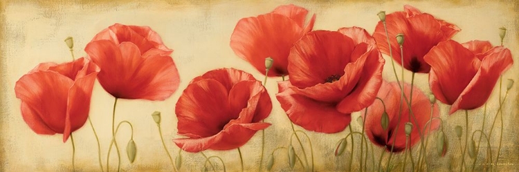 Picture of POPPIES GRACE II