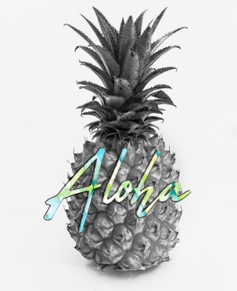 Picture of ALOHA 2