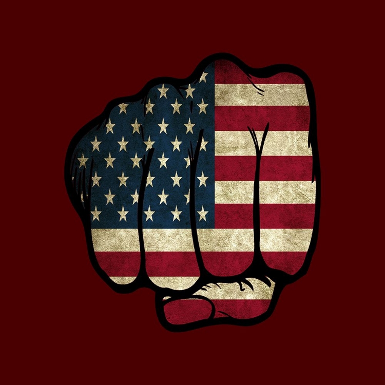 Picture of FIST BUMP AMERICA