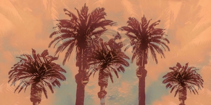 Picture of PALM SPRINGS