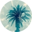 Picture of BLUE PALM I 