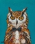 Picture of SPY ANIMALS I-UNDERCOVER OWL