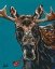 Picture of SPY ANIMALS II-MYSTERY MOOSE