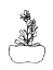 Picture of HAND SKETCH FLOWERPOT II