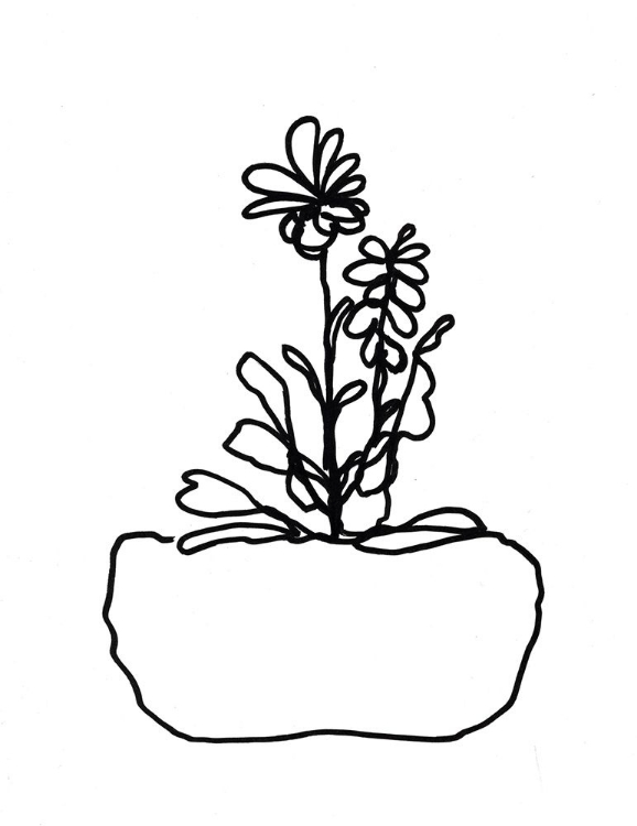 Picture of HAND SKETCH FLOWERPOT II