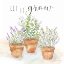Picture of LET IT GROW III