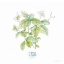 Picture of LET IT GROW XII