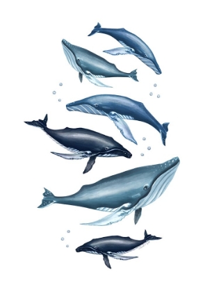 Picture of WHALE FAMILY