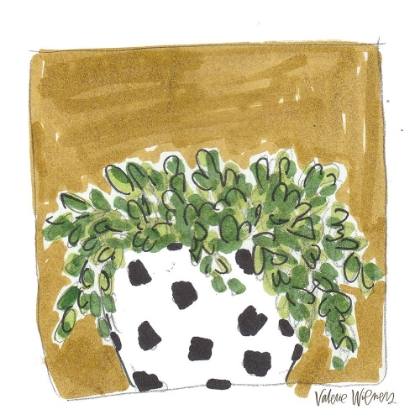 Picture of POLKA DOT SUCCULENT