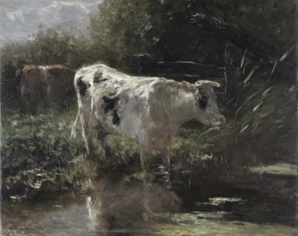 Picture of COW REFLECTION