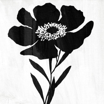 Picture of TOUCH AND CONTRAST