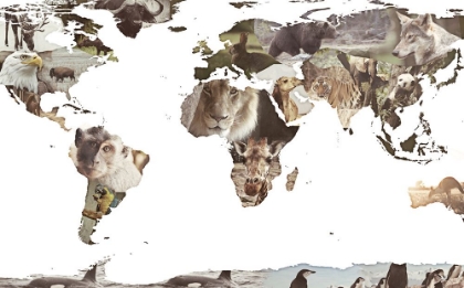 Picture of WORLD ANIMALS MAP