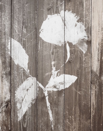 Picture of BROWN FLORAL WHISPER ON WOOD BACKGROUND I