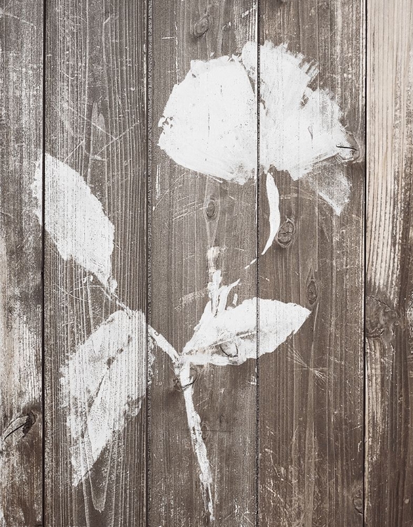 Picture of BROWN FLORAL WHISPER ON WOOD BACKGROUND I