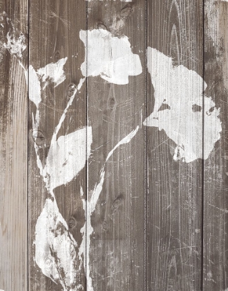 Picture of BROWN FLORAL WHISPER ON WOOD BACKGROUND II