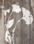 Picture of BROWN FLORAL WHISPER ON WOOD BACKGROUND II