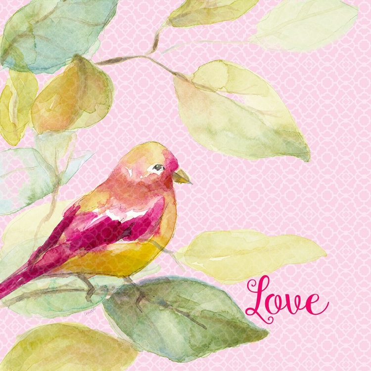 Picture of BIRD OF LOVE