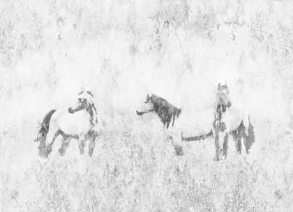 Picture of HORSES IN THE MIST