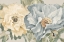 Picture of BLUE NEUTRAL PEONY