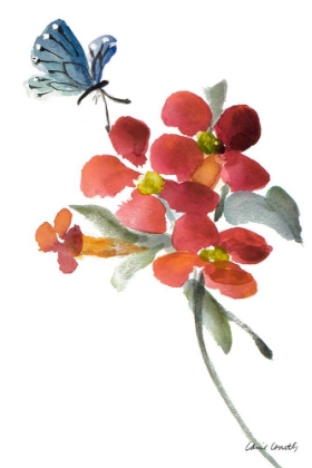 Picture of TRUMPET VINE AND BUTTERFLY