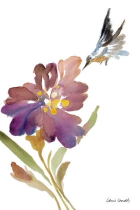 Picture of IRIS AND HUMMINGBIRD