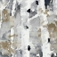 Picture of EVENING FOREST II