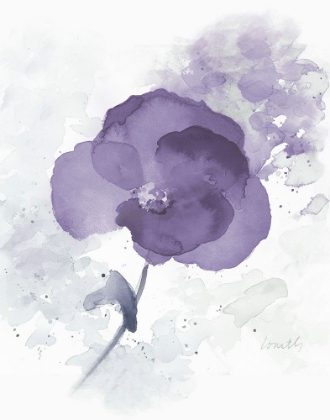 Picture of TRANSLUCENT MAUVE POPPY I