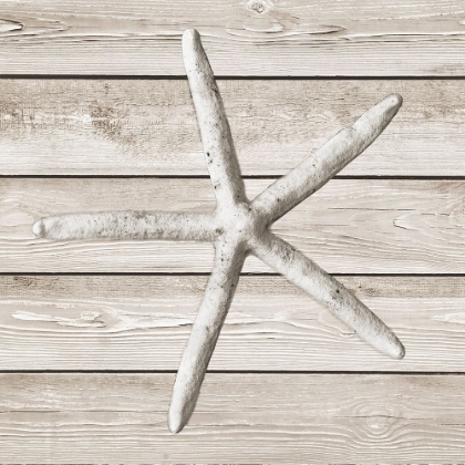 Picture of SAND AND SEA ON WOOD  BACKGROUND II