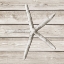 Picture of SAND AND SEA ON WOOD  BACKGROUND II