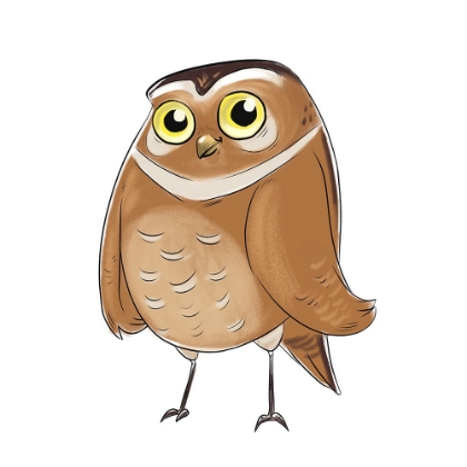 Picture of KIDS OWL